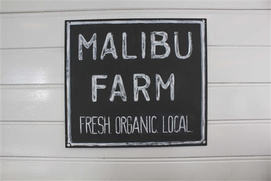 Malibu Farm - Newport Avatar