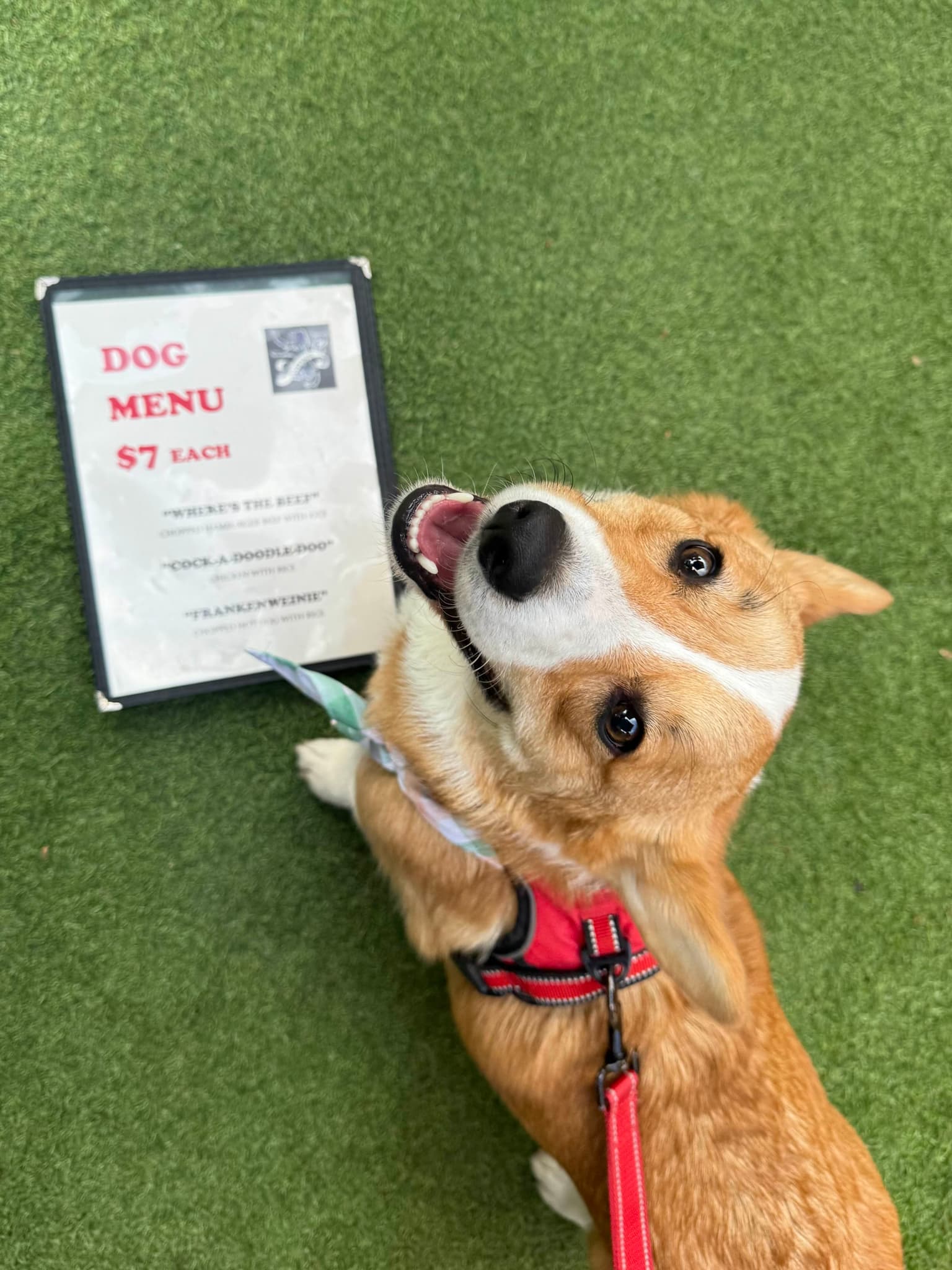 4f839389-86d8-4ab0-802f-ac11b19930db