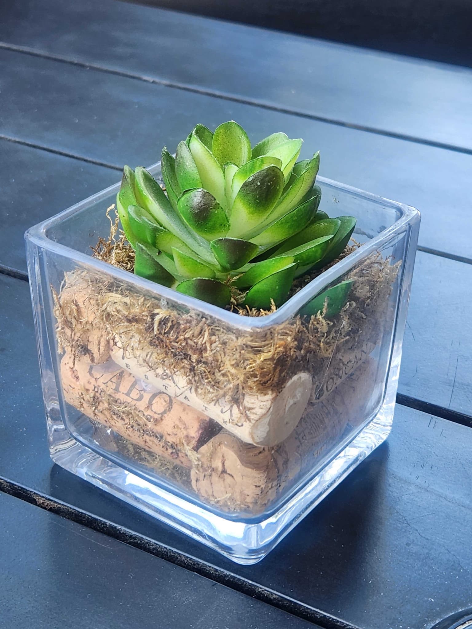 9259cb75-ce5b-4674-8b22-81467a21412d