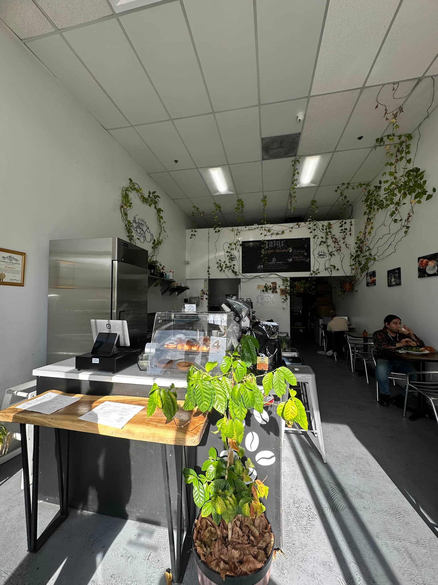 65418528-1452-4dea-98d5-29d740639044